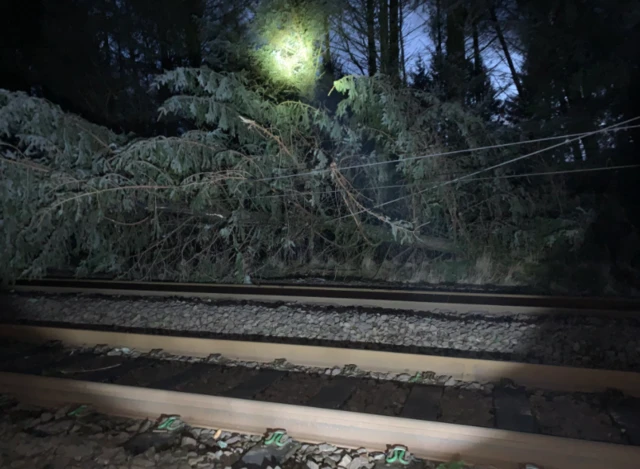 tree on line at Beattock