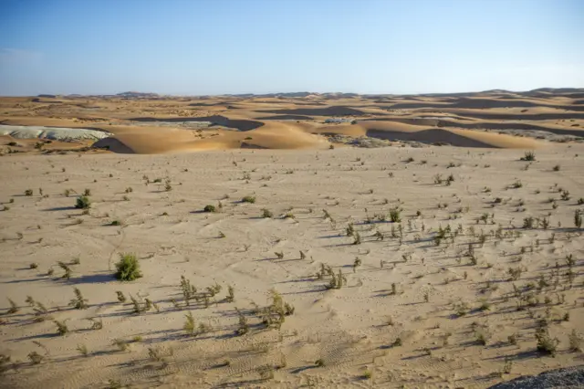 Landscape of Desert Dunes and blue Sky At Desert Breeze on the Banks of the Swakop River in Namibia