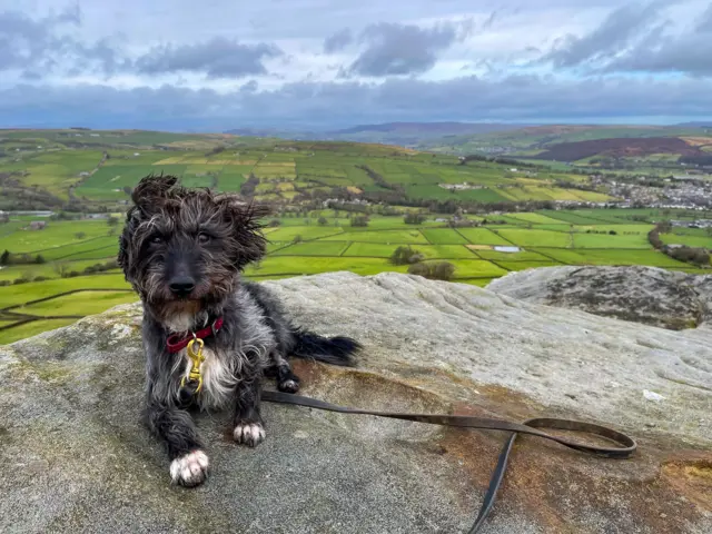 BBC Weather Watchers/The Roaming Hind