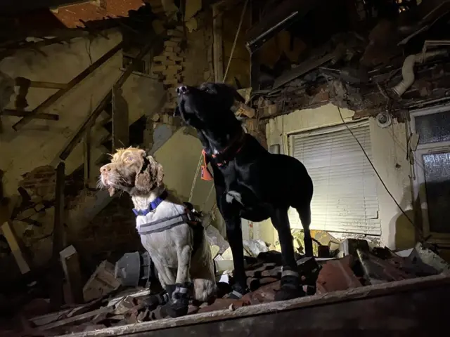 Tyne and Wear Fire and Rescue dogs at the blast scene