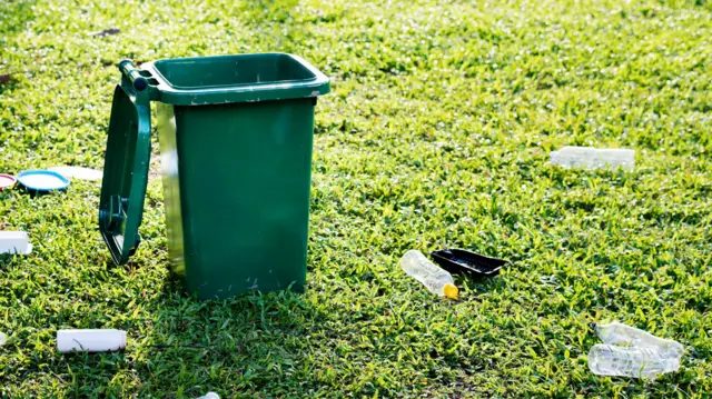 Green bin with strewn rubbish