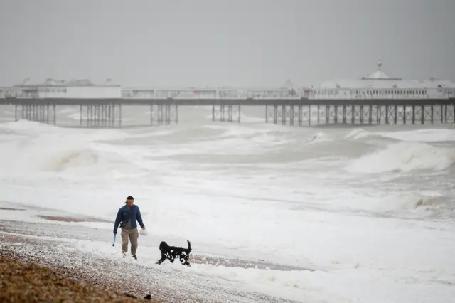 Dog walking in Brighton