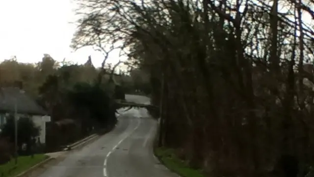 This tree in Rosevear, near St Ives, will need a bit more felling before it can be removed safely