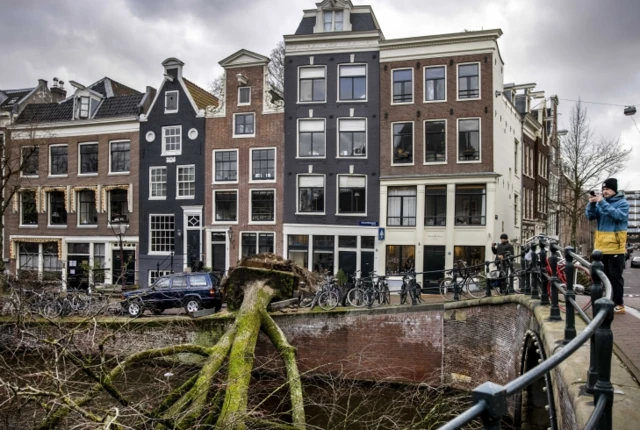 A fallen tree in Amsterdam