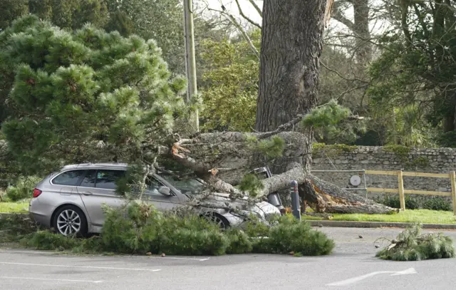 A fallen tree on a car in Lyme Regis, Dorset