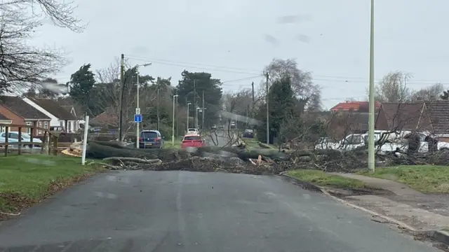 Folly Road, Mildenhall