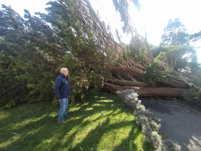 Terry Branton next to the fallen tree in his garden