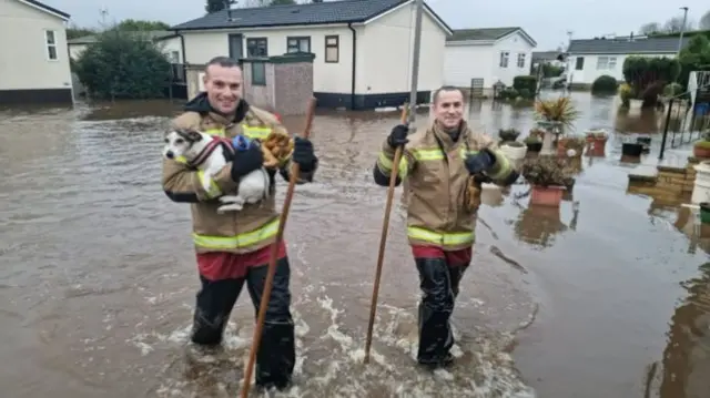 Dog rescued from flood