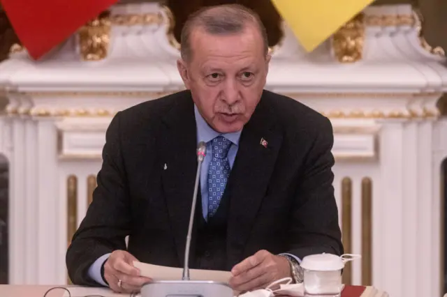 Turkey's President Recep Tayyip Erdogan