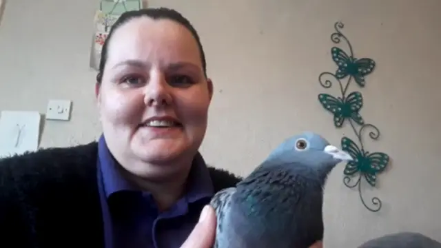 'Hope' the pigeon, Hayley's first rescue.