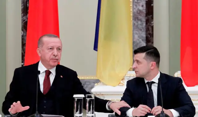 Erdogan and Zelensky