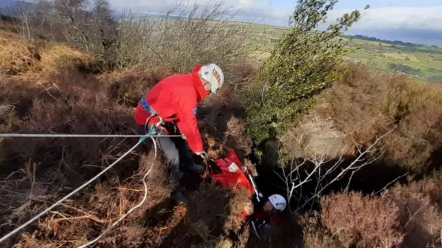 Rescuers bring up dog