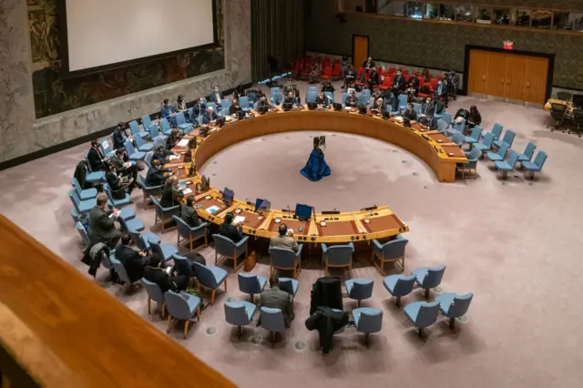 The UN security council