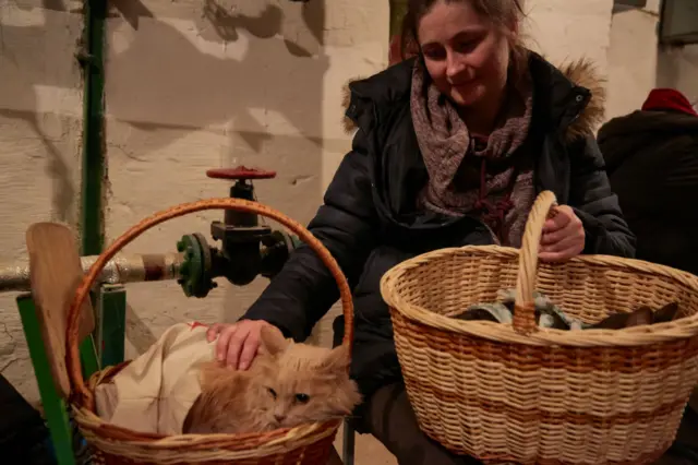 Woman with cats in shelter