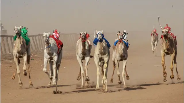 Camel race in Kassala, Sudan - Friday 18 February 2022