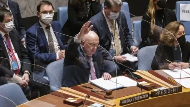 Russian UN ambassador raises arm to veto resolution