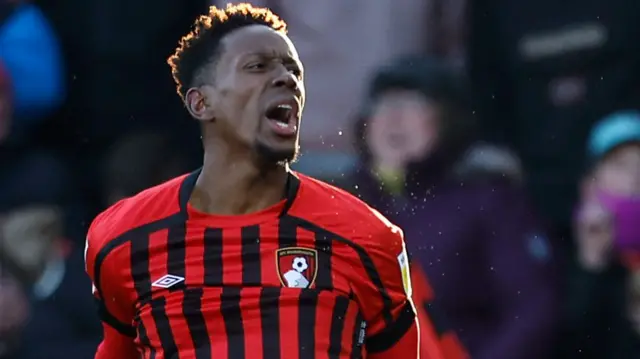 Bournemouth celebrate