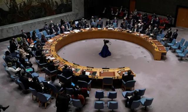 UN Security Council