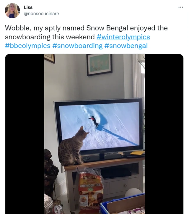 Liss: Wobble, my aptly named Snow Bengal enjoyed the snowboarding this weekend