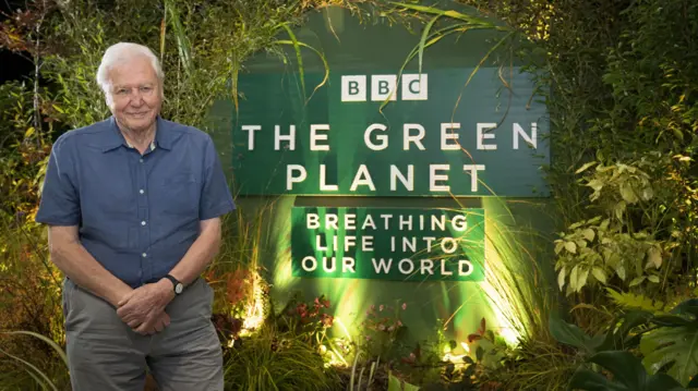 File photo dated 31/10/2021 of Sir David Attenborough attends the premiere of Green Planet at the Glasgow IMAX cinema in the Green Zone at COP26 in Glasgow.