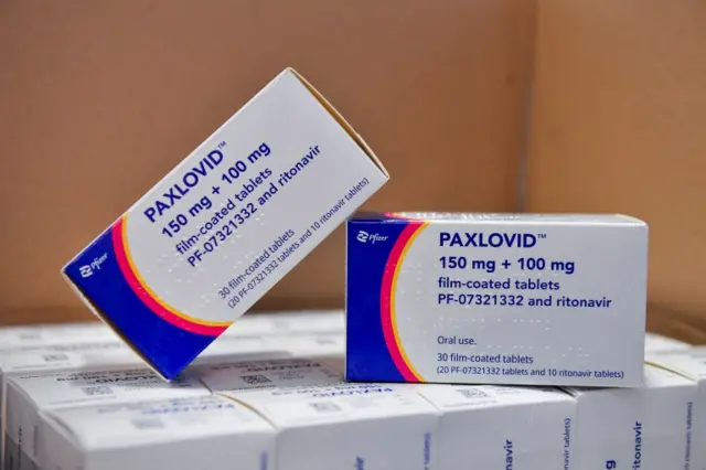 Coronavirus disease (COVID-19) treatment pill Paxlovid is seen in boxes, at Misericordia hospital in Grosseto, Italy.