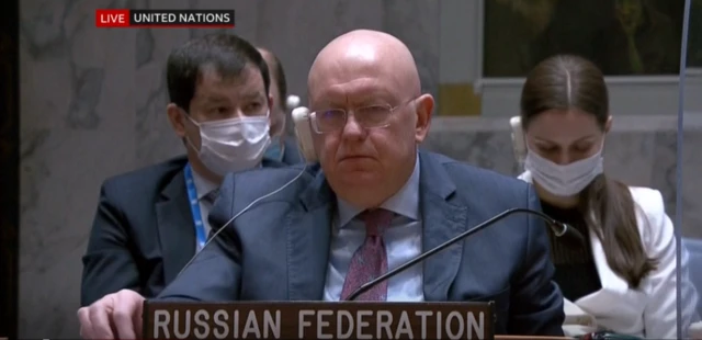 Ambassador Vasily Nebenzya speaking at the UN