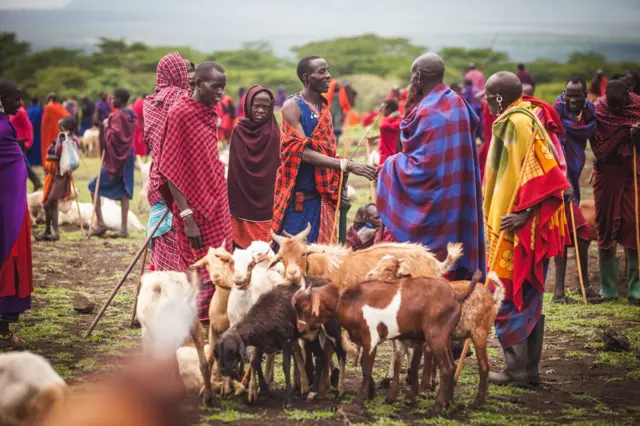 Masai men in market