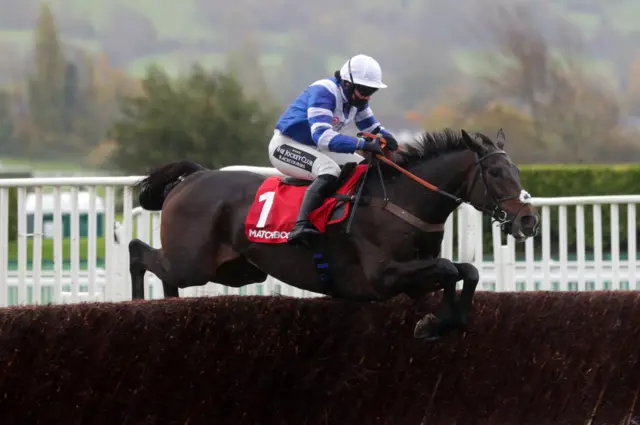 Bryony Frost rides Frodon at Cheltenham