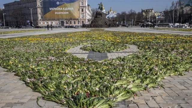 Tulip display