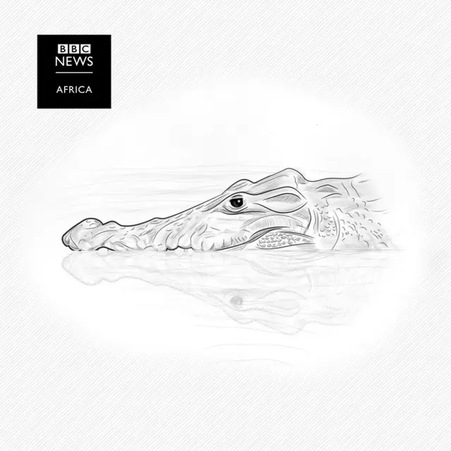 An illustration of a crocodile