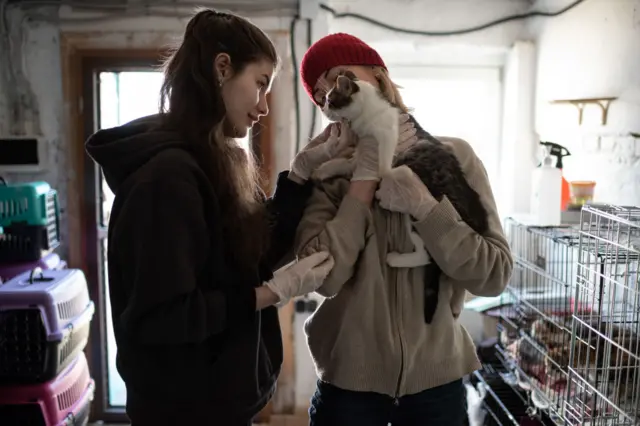 Ukrainian women at a shelter for pets in Lviv