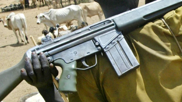 A Turkana man with a gun guarding cattle in Kenya - archive shot