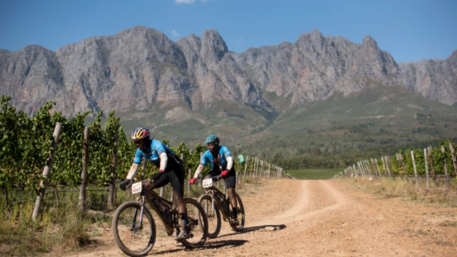 Cyclists near Cape Town