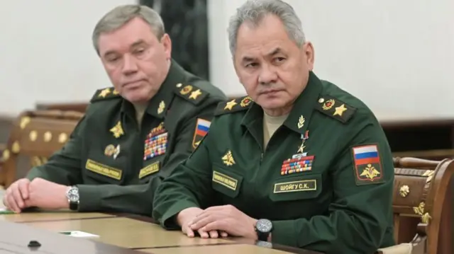 Defence Minister Shoigu