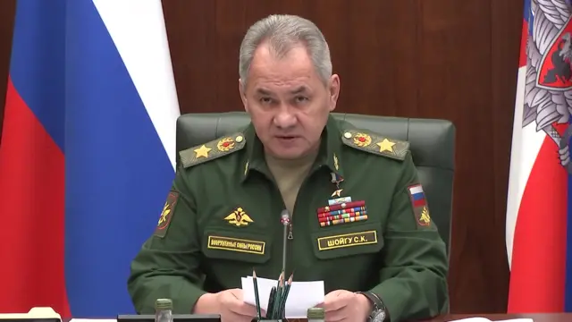 Russian Defence Minister Sergei Shoigu