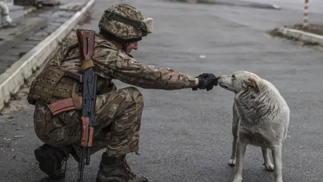 Soldier plays with dog