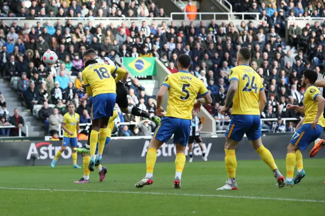 Fabian Schar, Newcastle United, Brighton