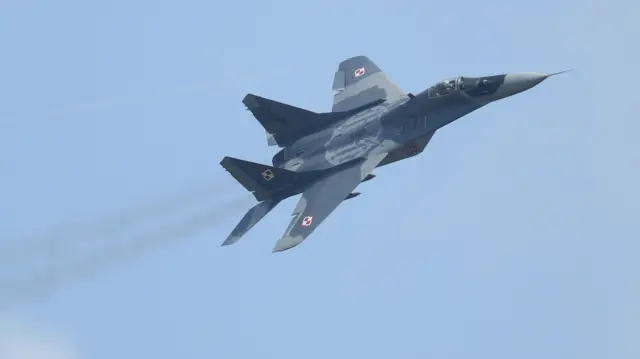 A Polish Air Force MiG-29 (file photo)