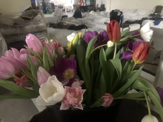 Tulips in a basement