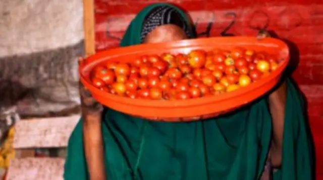 A lady with a tomato stall at Suuqa Beerta Market by Sagal Ali Ibrahim