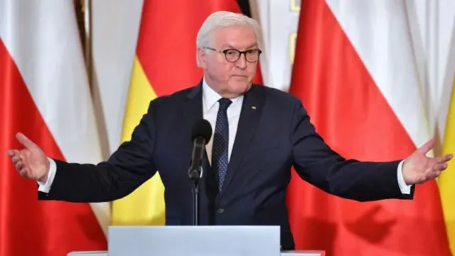 German President Frank-Walter Steinmeier