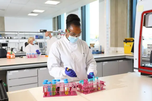 Scientist and samples in lab