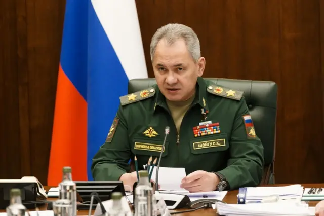 Russian Defence Minister Sergei Shoigu seen in this photo on 26 March 2022