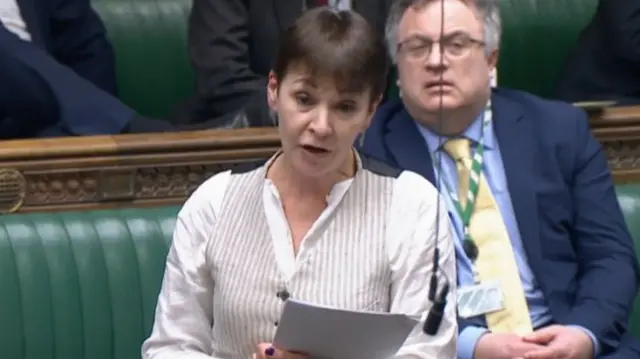 Caroline Lucas in the Commons