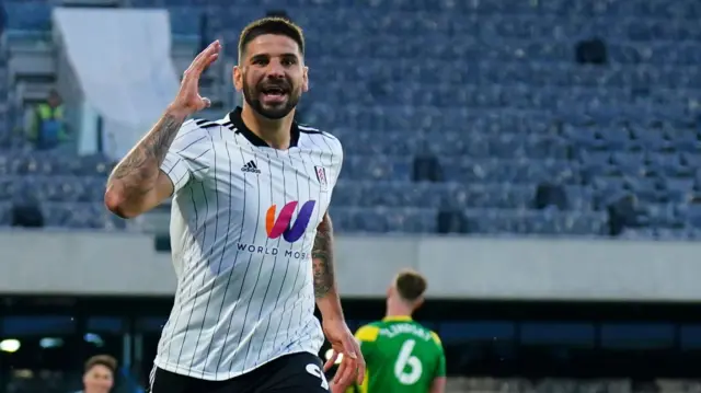 Fulham celebrate