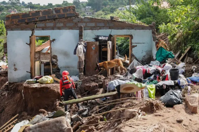 A member South African Police Services (SAPS) Search and Rescue Unit guide their sniffer dog during search efforts to locate ten people who are unaccounted for from area of KwaNdengezi township outside Durban on April 15, 2022 after their homes were swept away following the devastating rains and flooding.