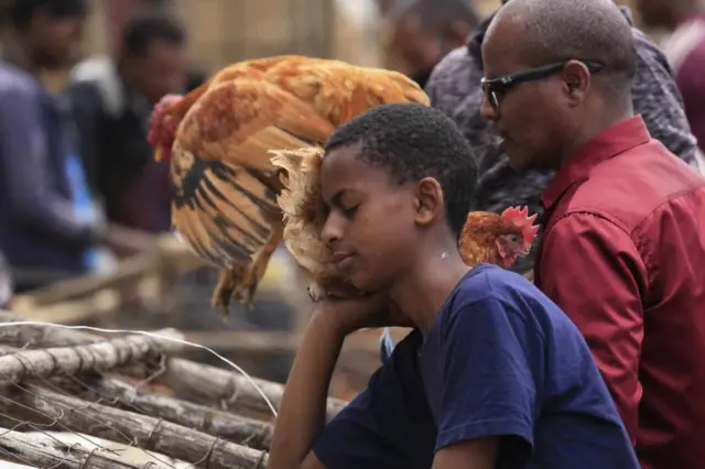 People do shopping at a livestock market ahead of the Easter in Addis Ababa, Ethiopia on April 21, 2022