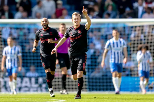 Ward-Prowse celebrates