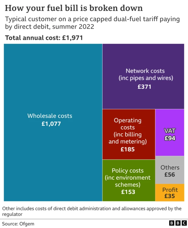 Graph showing how fuel bills are broken down in the UK