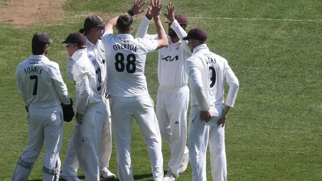 Surrey celebrate wicket